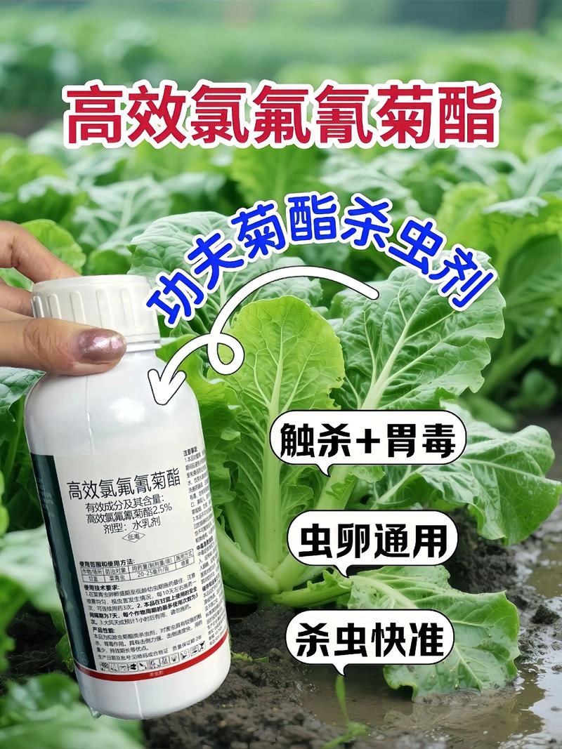 辽宁代生中心:农药对供卵代生妈妈的危害